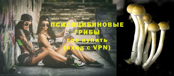 ПСИЛОЦИБИНОВЫЕ ГРИБЫ Усолье-Сибирское