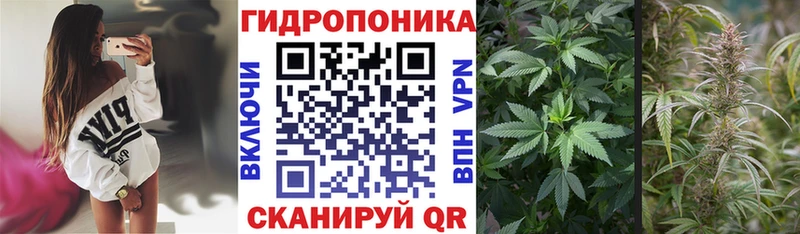 Купить где  Алапаевск  Шишки марихуана THC 21% 
